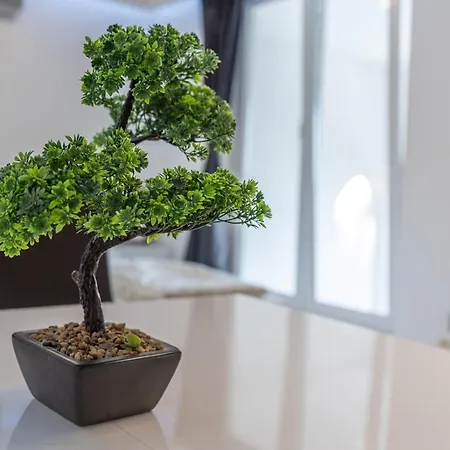 Ivana Black & White - * Marusici (Split-Dalmatia)