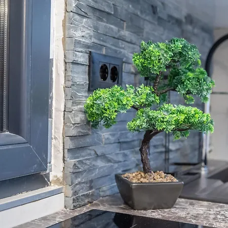 Ivana Black & White - شقة *